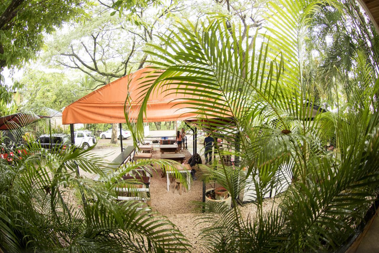 Hotel Disfrutalo Playa Santa Teresa  Zewnętrze zdjęcie