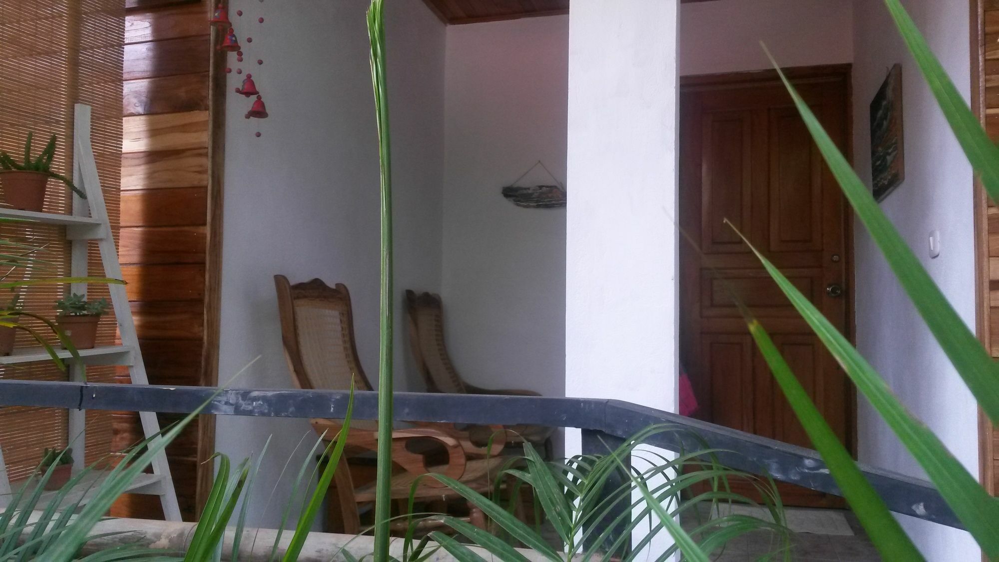 Hotel Disfrutalo Playa Santa Teresa  Zewnętrze zdjęcie