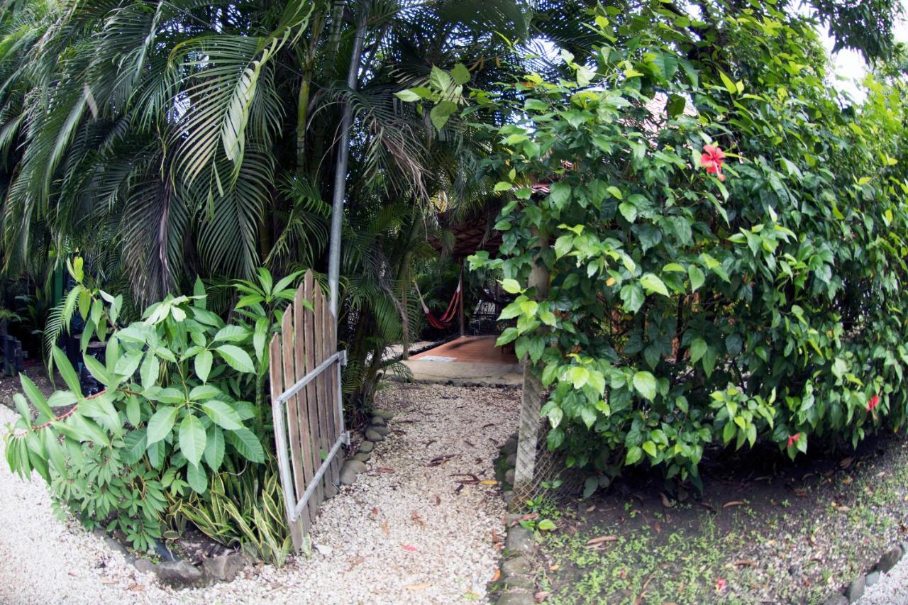 Hotel Disfrutalo Playa Santa Teresa  Zewnętrze zdjęcie